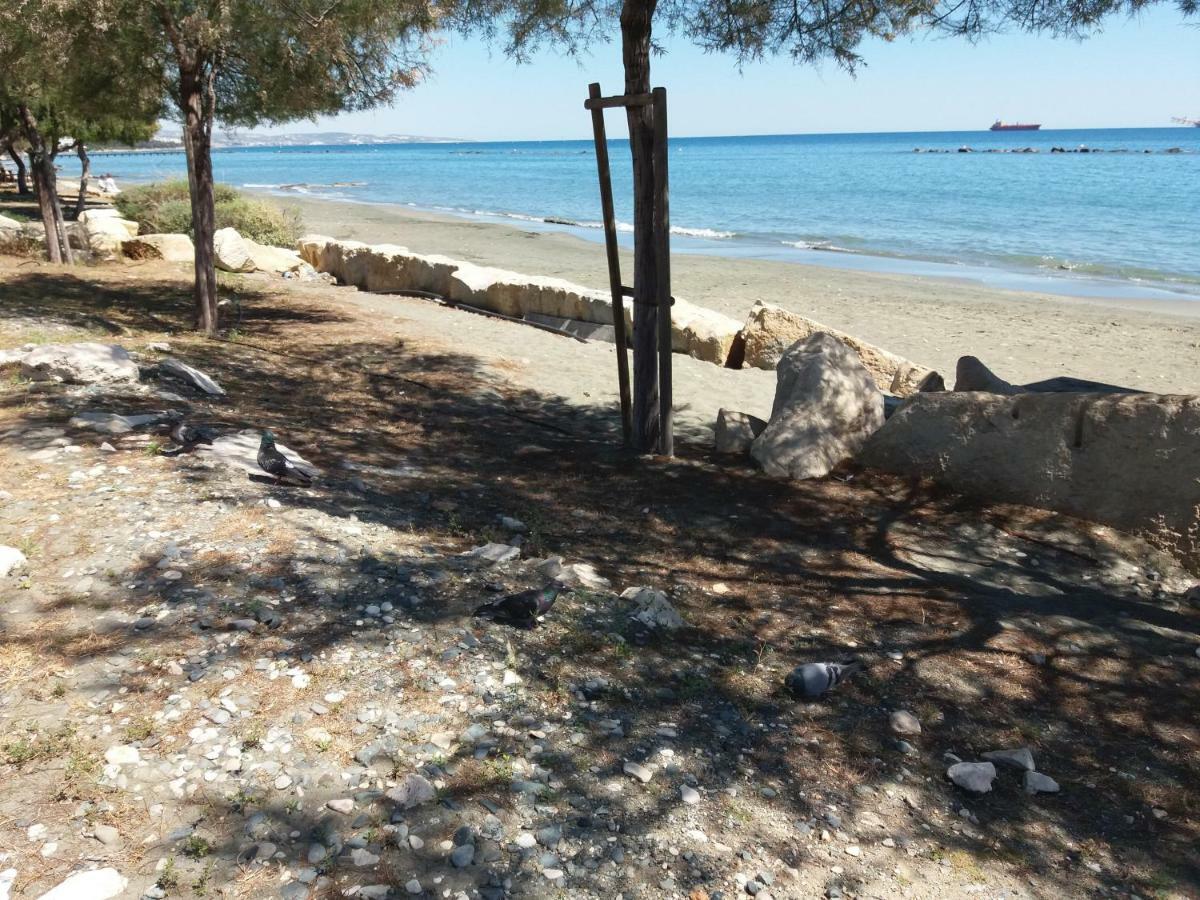 利马索尔Mediterranean Breeze公寓 外观 照片